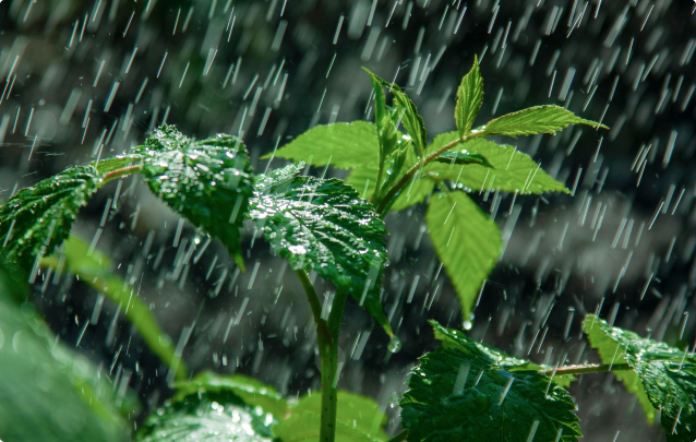 <h2>Ready to transform <strong>your business and the planet?</strong></h2>
